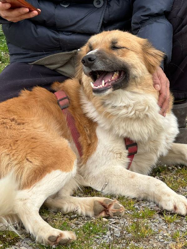 AXEL Foto 3